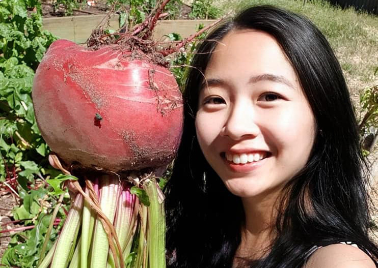 Vợ chồng Việt ở Úc trồng toàn cây trái khổng lồ trên mảnh đất khô cằn