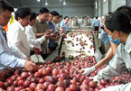 Vietnam aims to become world’s farm produce granary