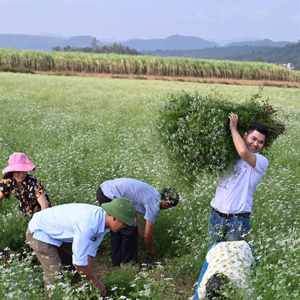 Life smells sweet for essential-oil entrepreneur