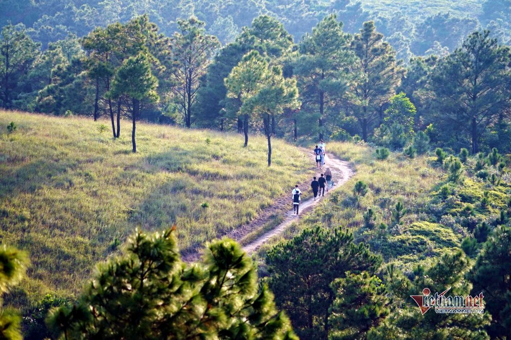 Falling in love with the wild beauty of “Phoenix” Hill in Quang Ninh