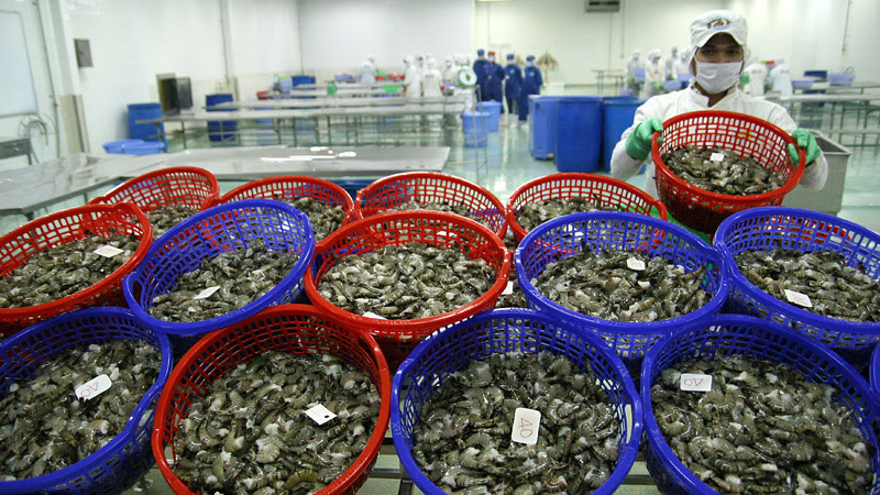 Seafood exports plummet under social distancing regulations