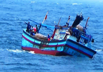 Tàu cá Bình Định bị tàu hàng đâm chìm, 2 ngư dân mất tích