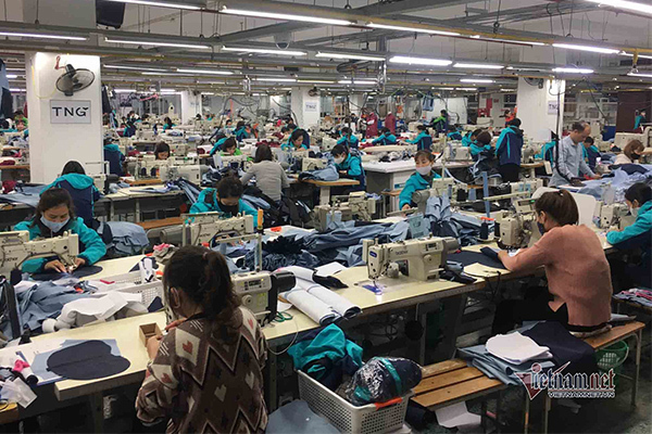 Mất việc do Covid-19 được hưởng cao nhất 3,3 triệu từ Quỹ bảo hiểm thất nghiệp