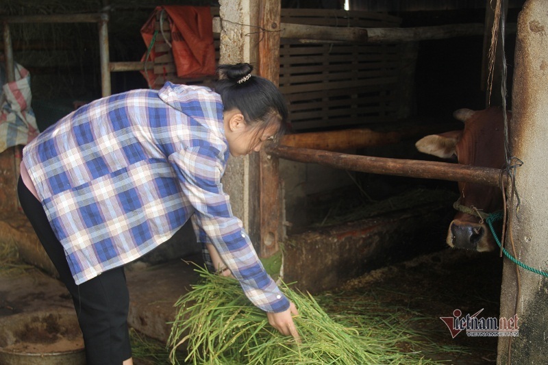 Chồng lạnh nhạt gối chăn vì chê vợ béo