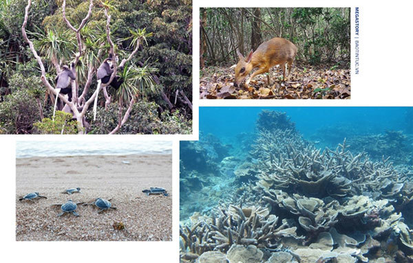 Recognition more than a title for biosphere reserves