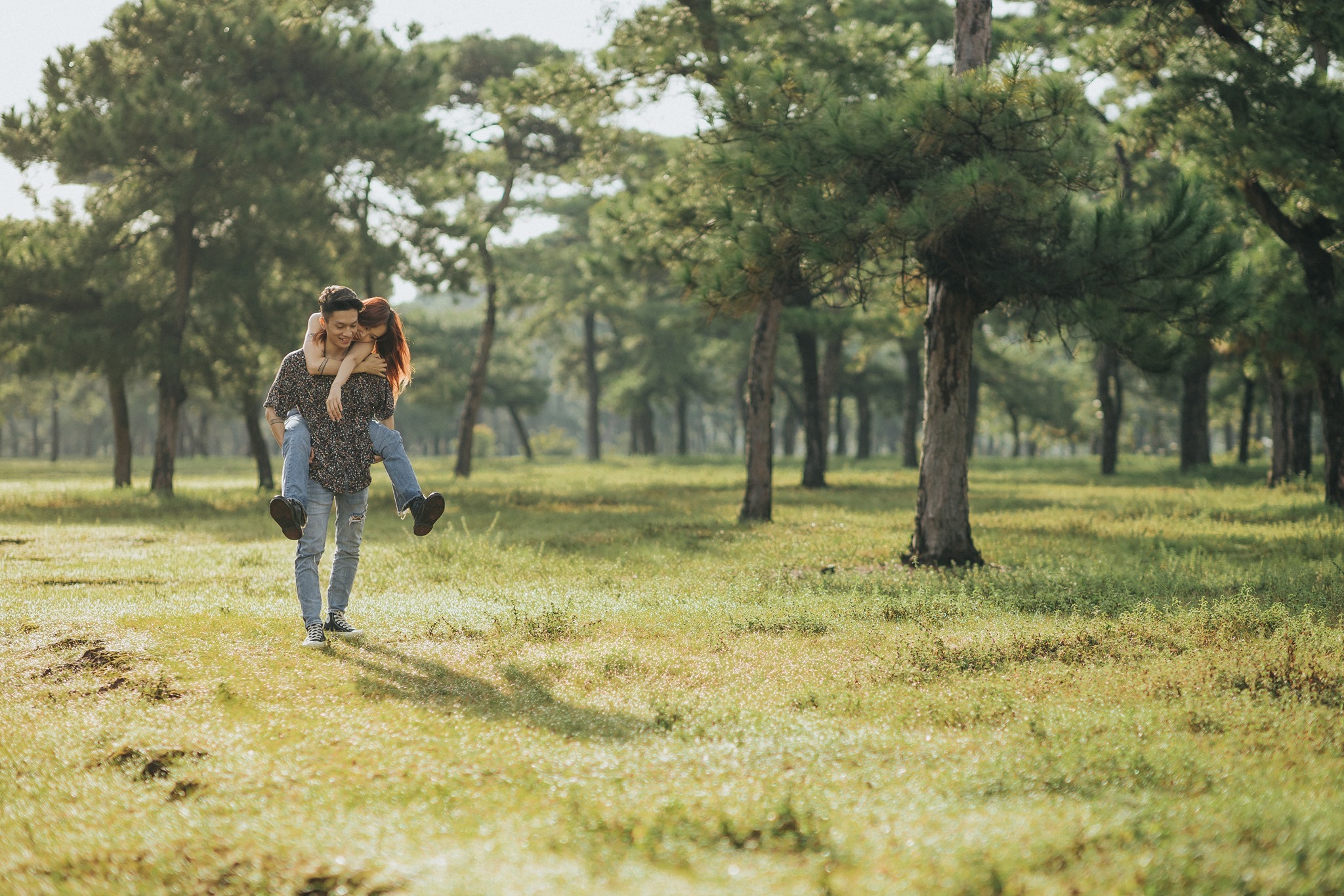 Rừng thông bonsai có 'một không hai' ở Gia Lai hút khách không kém Đà Lạt