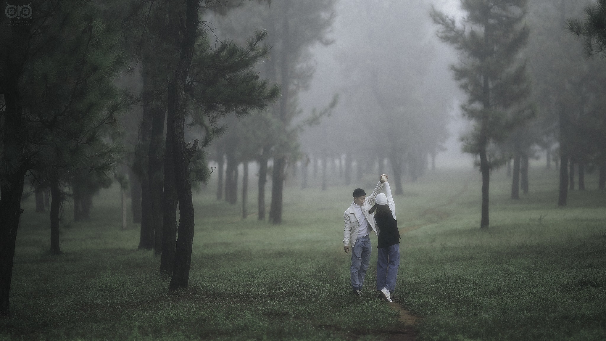 Rừng thông bonsai có 'một không hai' ở Gia Lai hút khách không kém Đà Lạt
