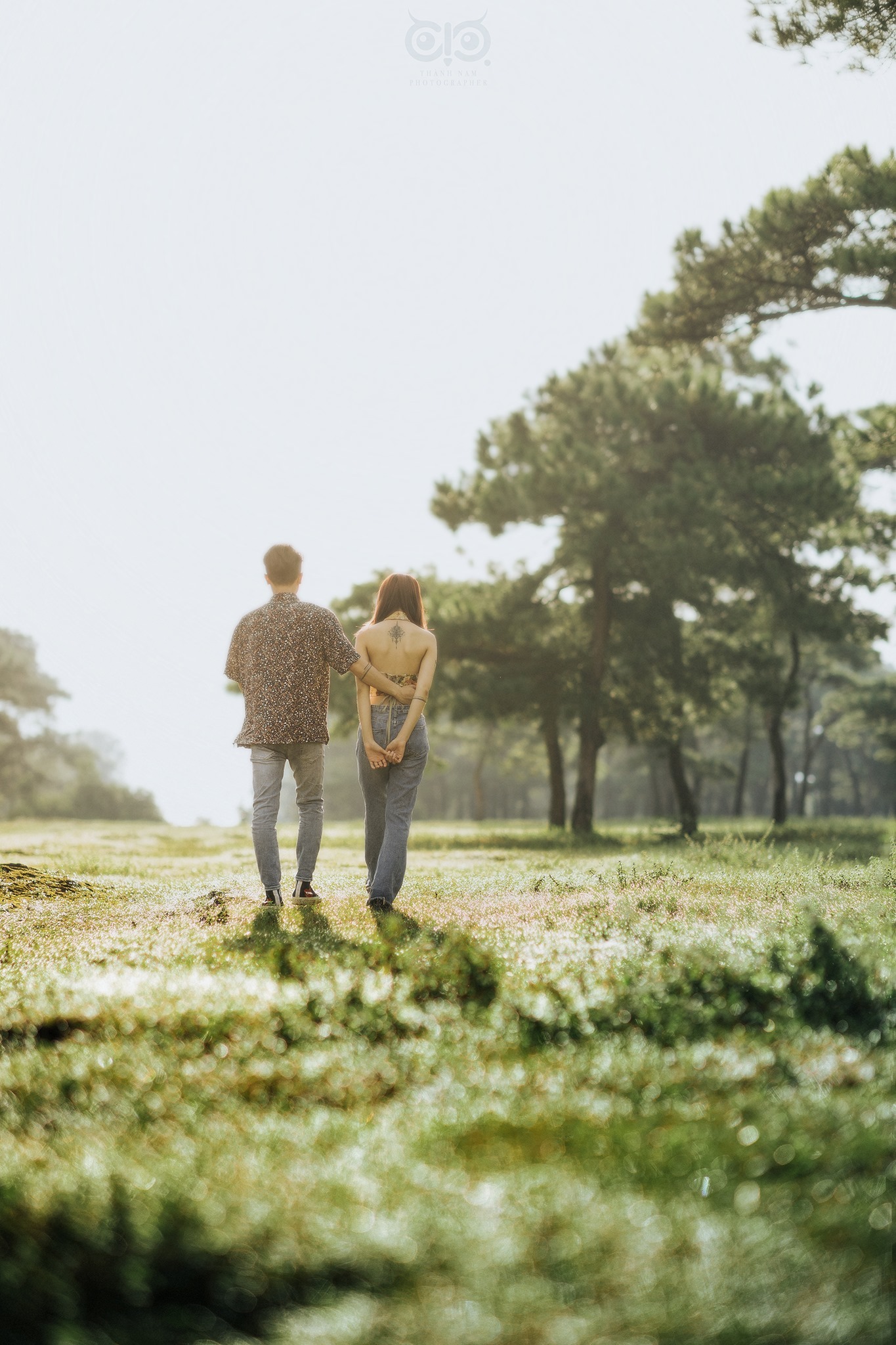 Rừng thông bonsai có 'một không hai' ở Gia Lai hút khách không kém Đà Lạt