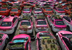 Hãng taxi ế ẩm vì Covid-19, hàng trăm ô tô bị biến thành vườn rau có 1-0-2