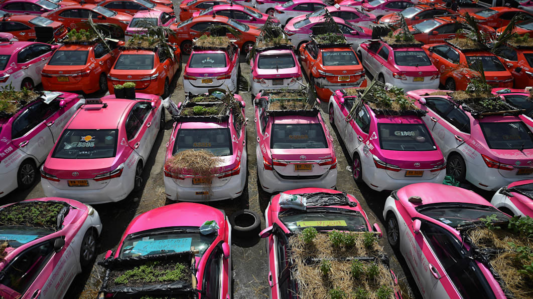Hãng taxi ế ẩm vì Covid-19, hàng trăm ô tô bị biến thành vườn rau có 1-0-2