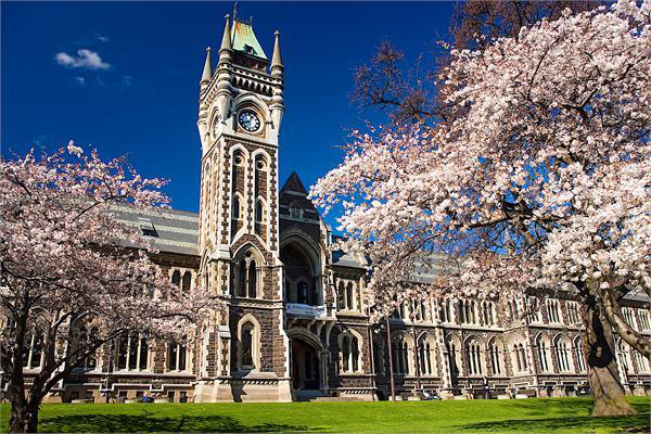 Lợi thế du học ngành Y tại New Zealand