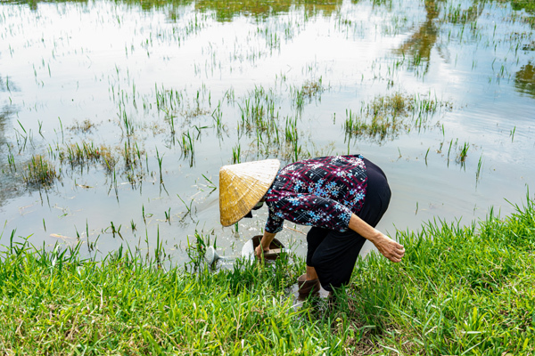 Huda đưa nguồn nước sạch về xã nghèo ven biển Hà Tĩnh