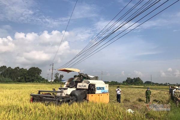 Hai nông dân bị điện giật chết ngoài ruộng ở Hải Dương