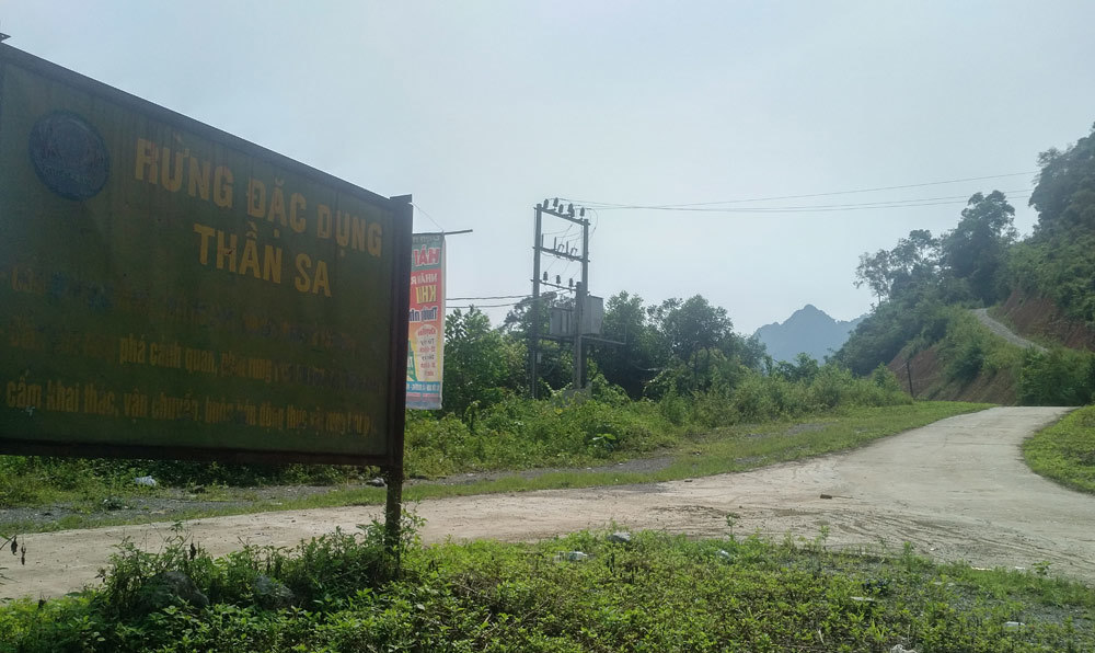 Kiểm tra 2 mỏ vàng lớn nhất Thái Nguyên từng 'làm đường, xây chùa' trên đất rừng
