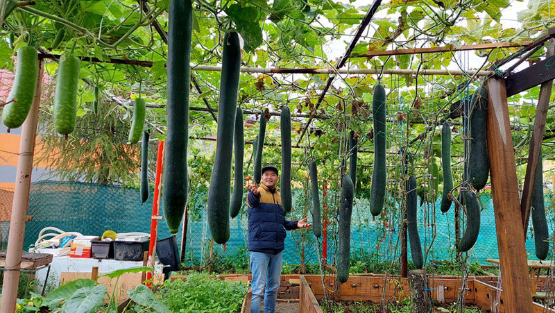 Ông bố Việt ở CH Séc cải tạo đất sỏi thành vườn rau