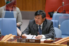 Vietnam supports equitable COVID-19 vaccine distribution, human rights protection