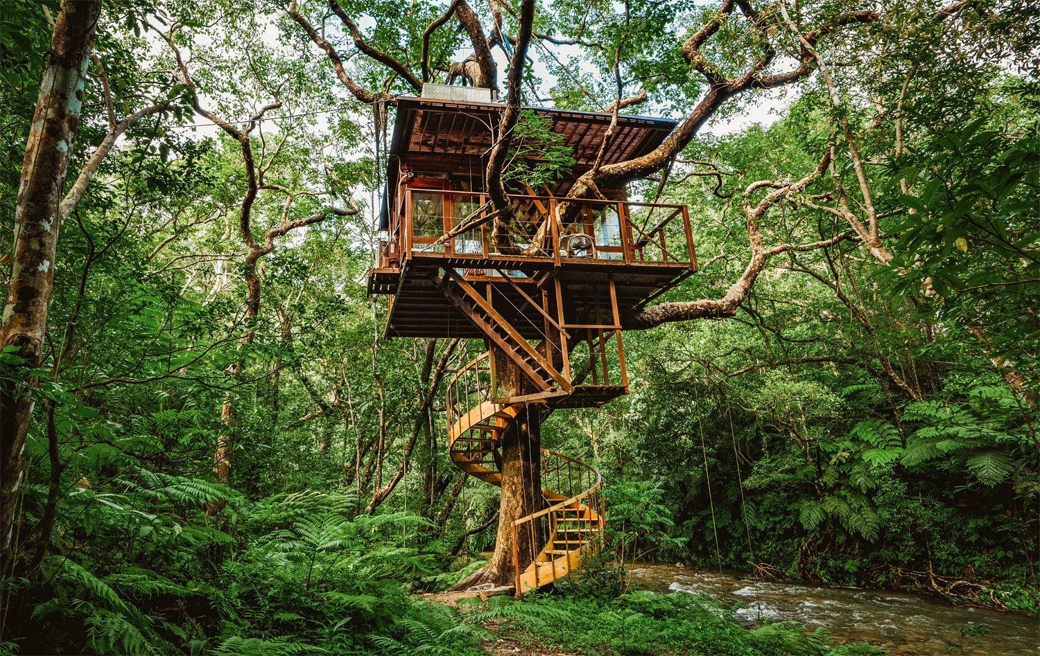 Nhà trên cây: Một ngôi nhà trên cây độc đáo từ thiên nhiên, tại đó bạn có thể trải nghiệm cuộc sống giữa thiên nhiên xanh tươi. Tận hưởng không khí mát mẻ, hít thở bầu không khí trong lành và thư giãn sau những giờ làm việc căng thẳng.