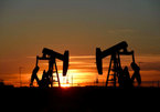 Giá dầu tăng mạnh, lên mức cao nhất 7 năm qua