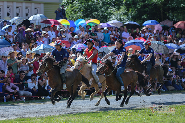 Bac Ha horse racing – from tradition to national heritage