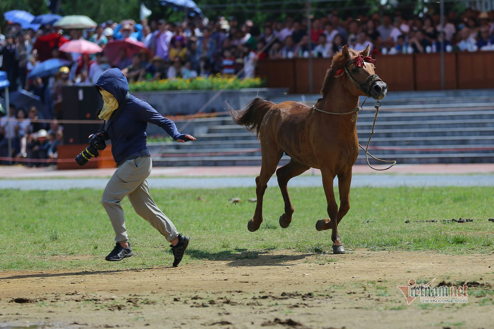 Lễ hội đua ngựa Bắc Hà từ ngày đầu tổ chức đến Di sản Văn hóa - 10