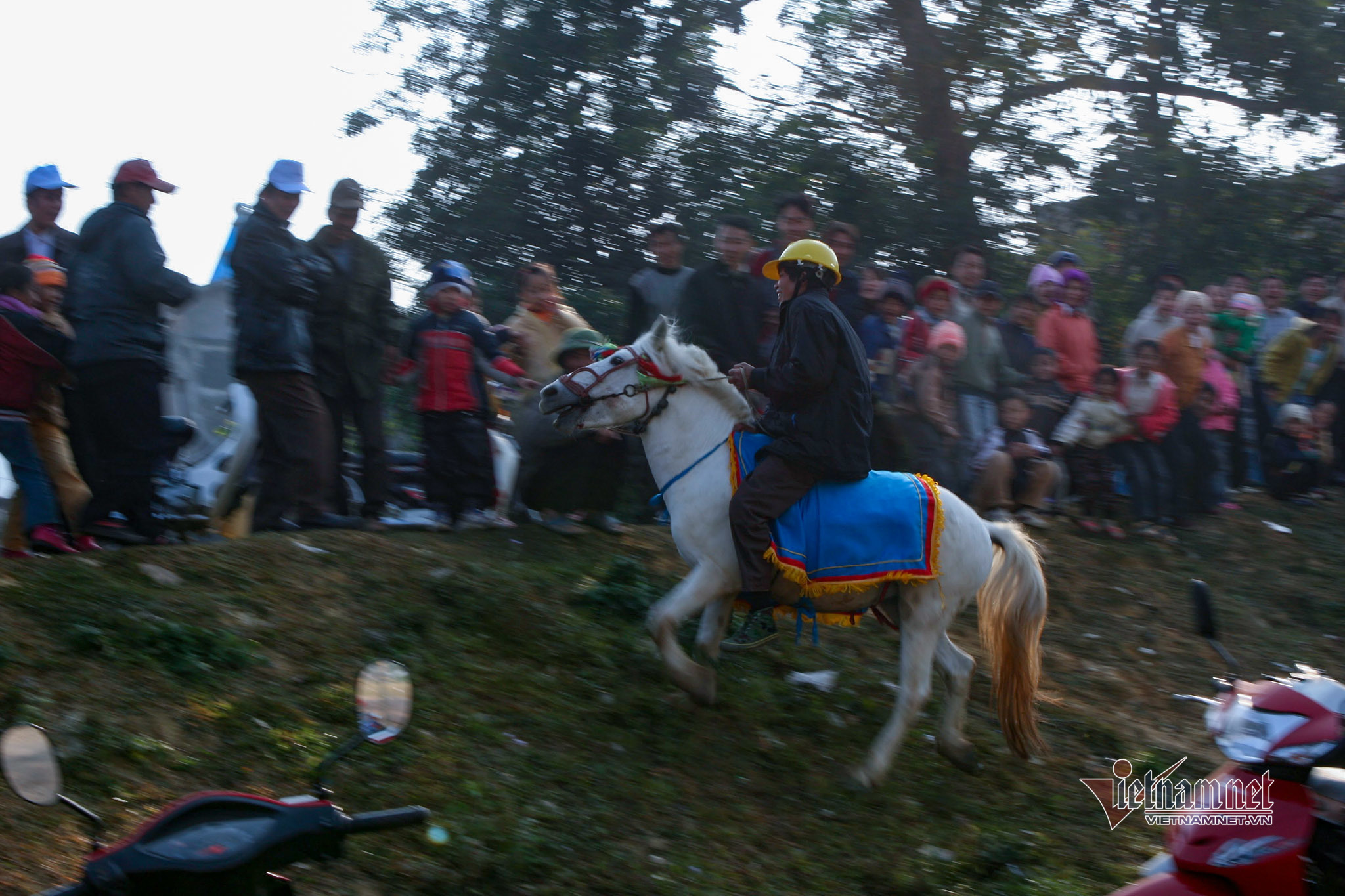 Lễ hội đua ngựa Bắc Hà từ ngày đầu tổ chức đến Di sản Văn hóa