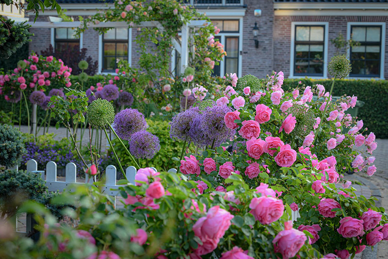 Cuộc tình vụng trộm với nam đồng nghiệp bị lộ sau 10 ngày chỉ vì 1 câu nói