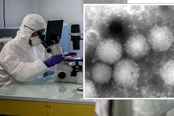 Nhật phát hiện bệnh truyền nhiễm lạ do virus gây ra