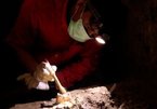 Hài cốt cô gái 7.000 năm tuổi 'viết lại' cách người xưa đi khắp thế giới