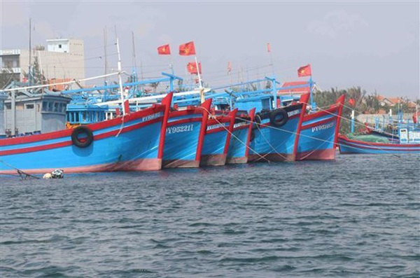 Vietnam works towards responsible, sustainable fishery sector