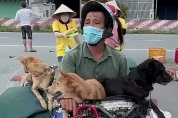 Vụ tiêu hủy 15 con chó: Áp lực về phòng chống dịch và người dân?