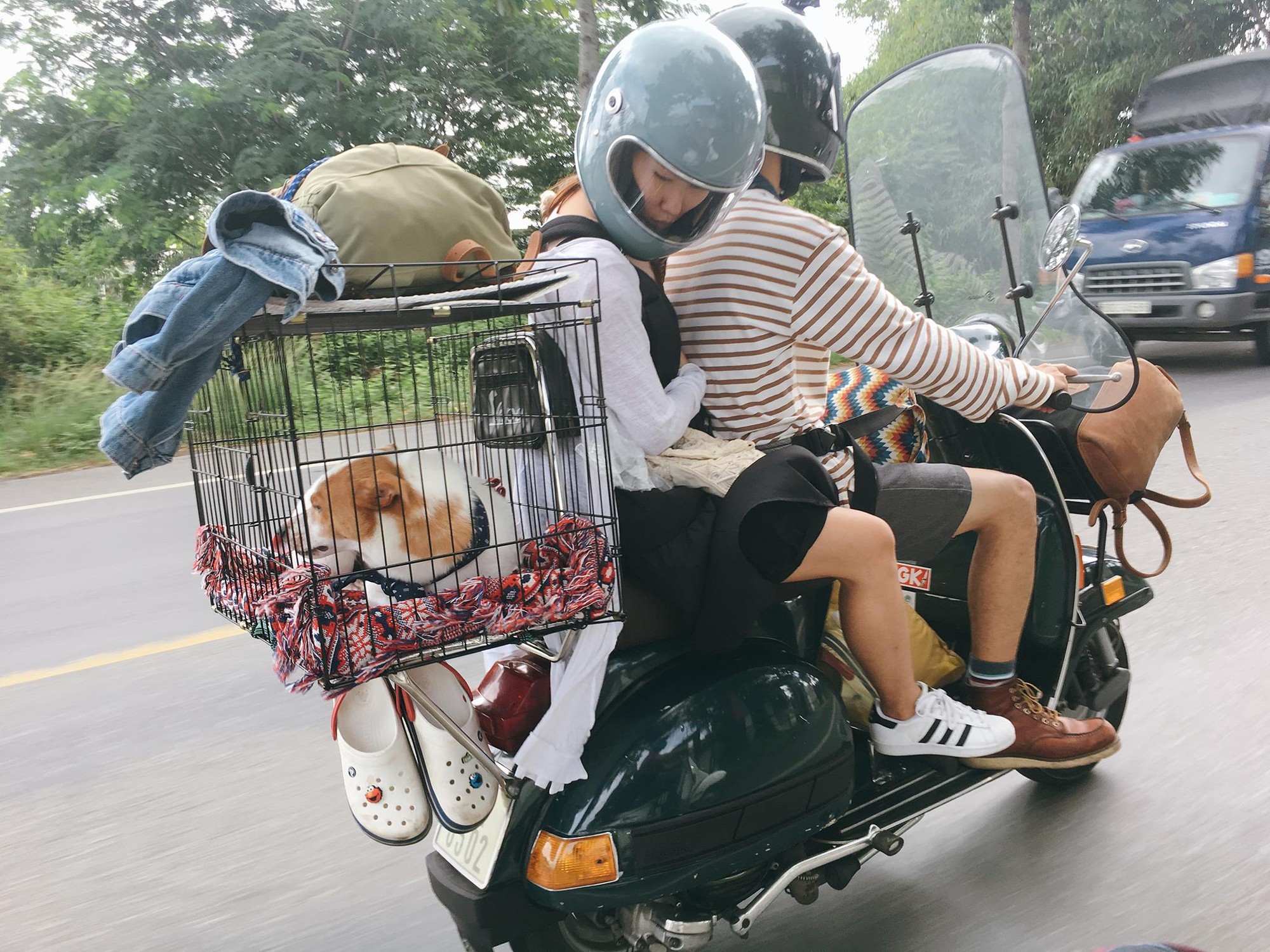 Những phụ kiện đắt đỏ dành cho chó cưng khi đi xe máy