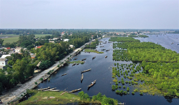 Vietnam to plant extra 20,000ha coastal forest to cope with climate change