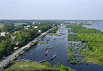 Vietnam to plant extra 20,000ha coastal forest to cope with climate change