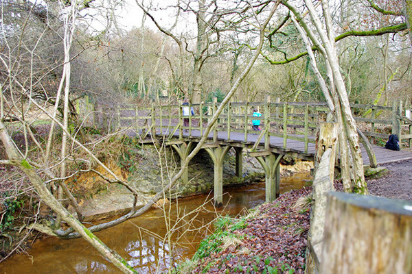 Đại gia bỏ 4 tỷ đồng mua cây cầu nổi tiếng trong phim hoạt hình