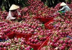 Quy định mới về nông sản Việt Nam vào Trung Quốc