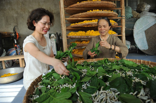 Silk artisan keeps production going despite pandemic
