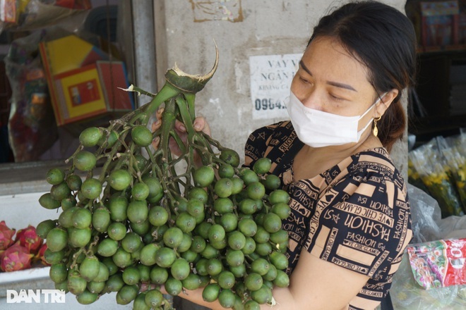 'Bỏ túi' hàng trăm triệu đồng từ vườn cau xứ Thanh Chương, Nghệ An