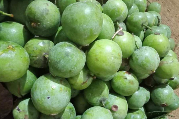 Thứ quả nấu canh chua giá rẻ, đặt mua cả yến trữ lạnh ăn qua mùa đông