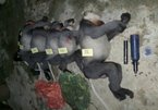 Điều tra nhóm người bắn chết 5 cá thể voọc chà vá chân xám ở Quảng Ngãi
