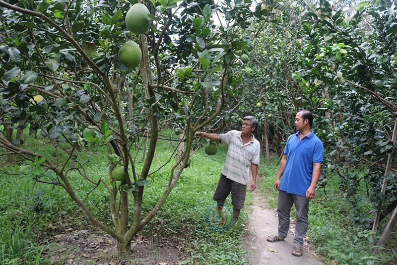 Lực lượng quan trọng đông gấp 30 lần Nhật, nhưng 'sức khoẻ' yếu