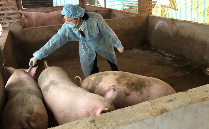 Hòa Bình: Huyện Cao Phong huy động mọi lực lượng, đẩy nhanh tiến độ tiêm vắc-xin