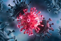 Biến thể virus corona khiến WHO họp khẩn nguy hiểm thế nào?
