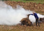 Thứ đốt bỏ khói om trời Hà Nội, Amazon bán 100 USD: Mỗi năm 3 tỷ USD ra tro