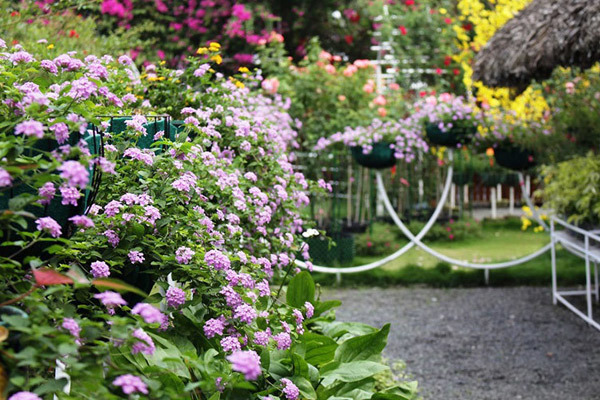 Bắt quả tang vợ ngoại tình với đồng nghiệp