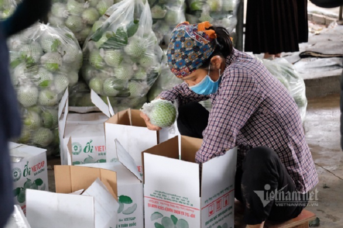 Thái Bình thúc đẩy tiêu thụ nông sản qua sàn thương mại điện tử