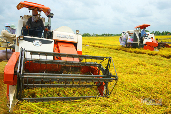 Thái Bình triển khai nhiều giải pháp tái cơ cấu nông nghiệp