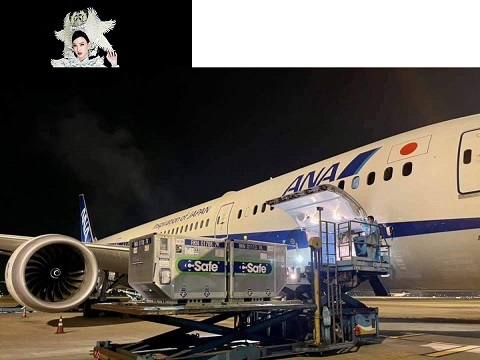 Vietnam receives 500,000 more COVID-19 vaccine doses from Japan