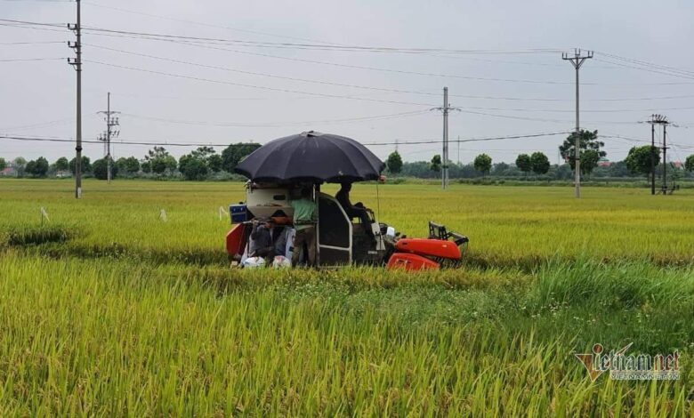 Nông dân Thái Bình thi đua sản xuất, kinh doanh giỏi, giúp nhau làm giàu và giảm nghèo bền vững