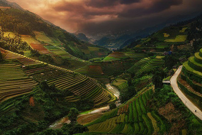 Cảnh ruộng bậc thang Việt Nam vào top ảnh xuất sắc trong cuộc thi quốc tế