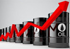 Giá dầu chạm mức cao nhất trong nhiều năm